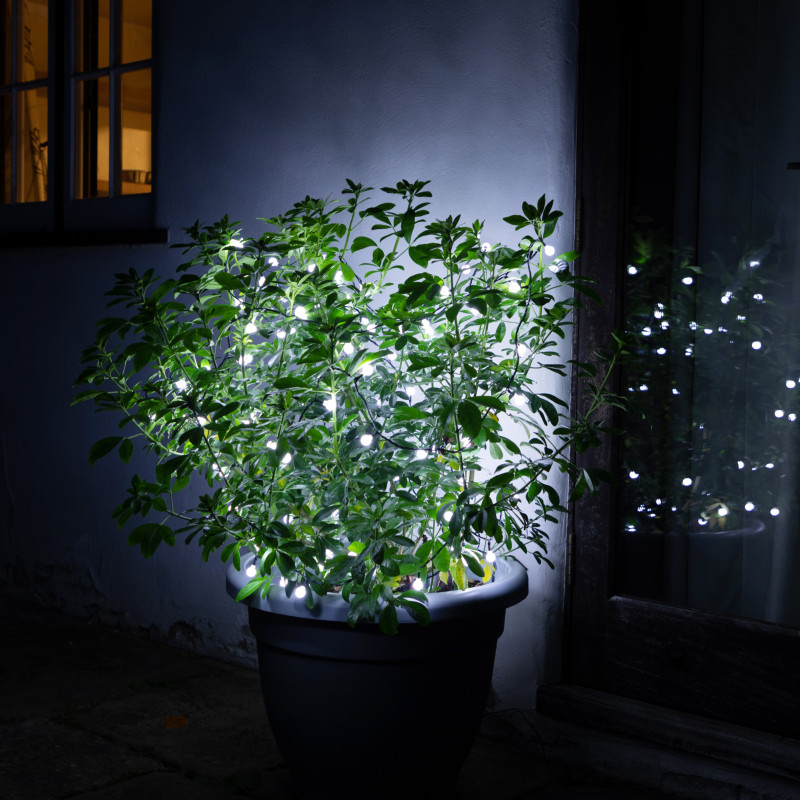200 DUO BERRY LIGHTS WITH GREEN CABLE- Prices Coming Soon