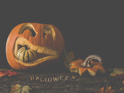 Mr Worzel's Pumpkin Farm and Adventure Trail