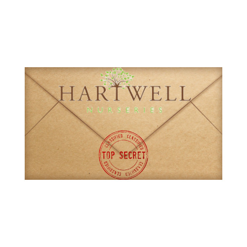 Email Exclusive Promotion