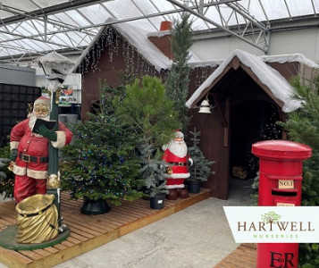 Meet Father Christmas