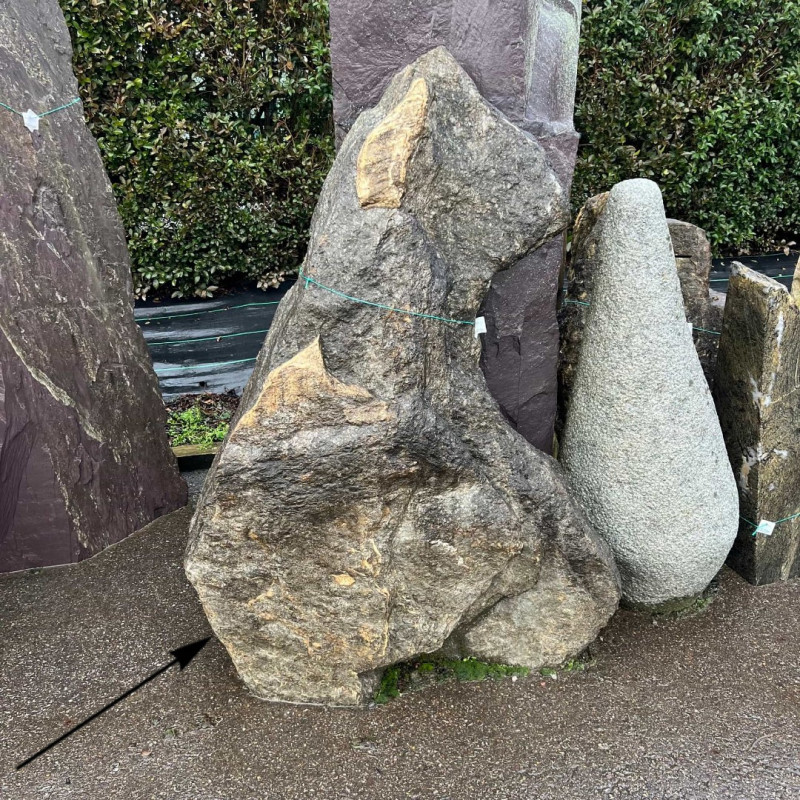#189 Irish Quartzite (Standing Stone) 