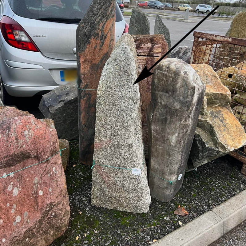  #158 Irish Quartzite Part Polished (Standing Stone)