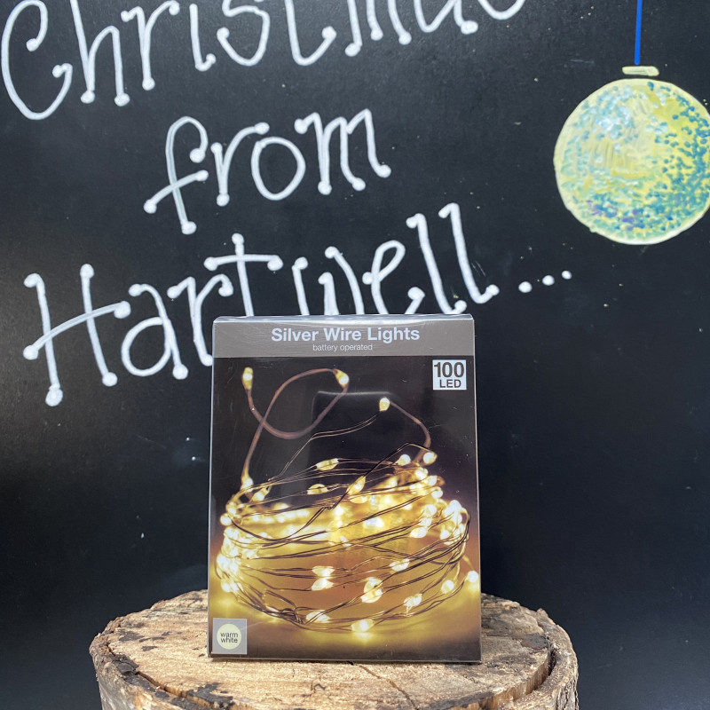 Christmas 100 LED Silver Wire Lights Warm White photo