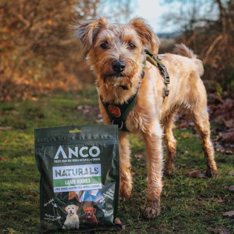 Anco Naturals Lamb Hooves 150g photo