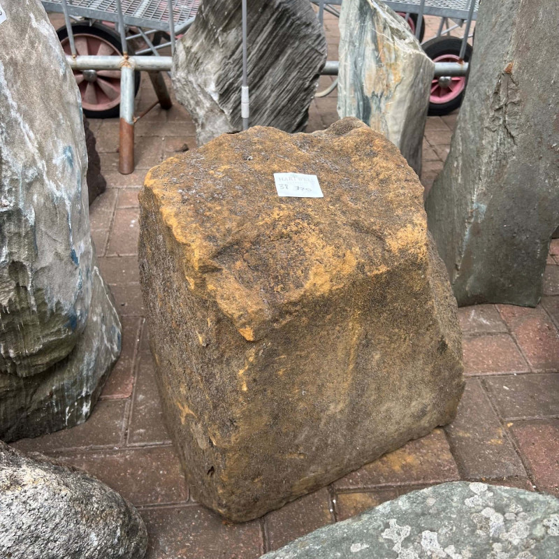 #38 Classic Stone (Standing Glacial Boulder) photo