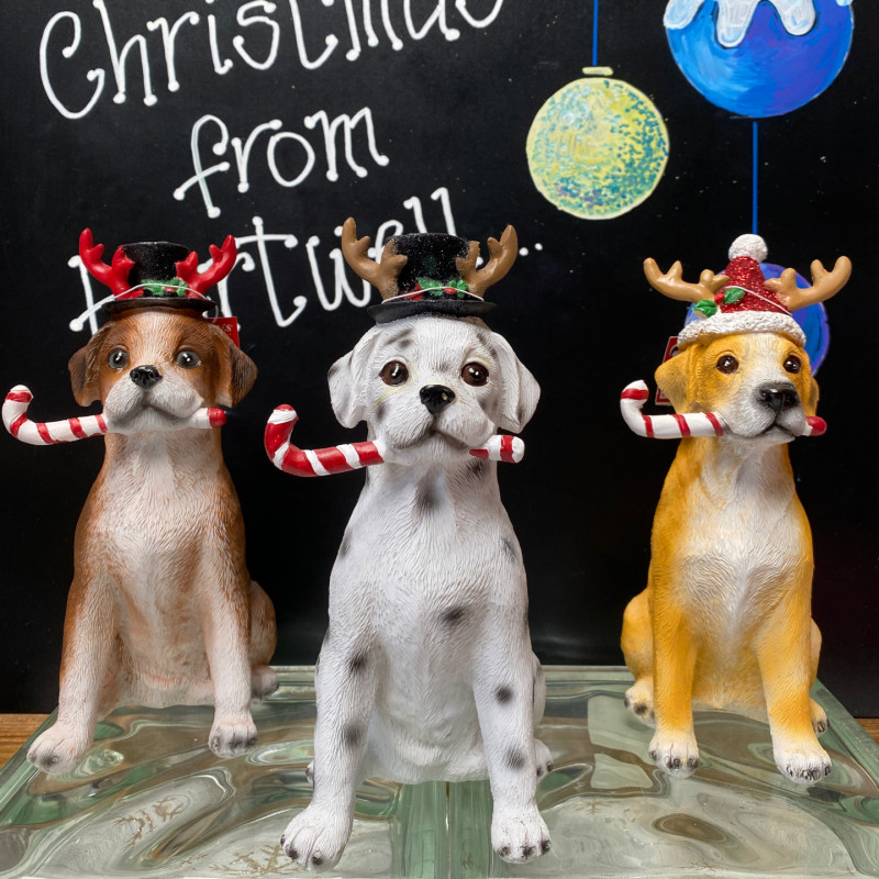 Christmas Dogs with Candy Canes photo