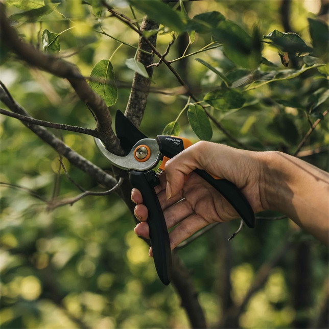 Solid™ Bypass Pruner M P321 photo