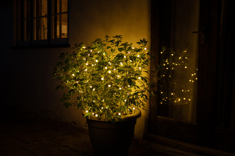 200 DUO BERRY LIGHTS WITH GREEN CABLE- Prices Coming Soon photo