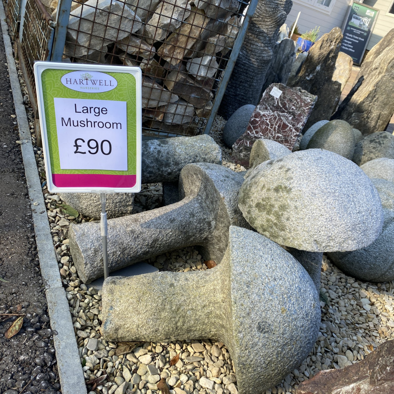 Rocks 20- Large Mushroom £90