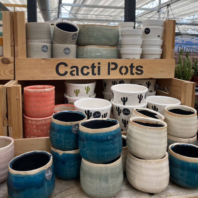 Pots 15