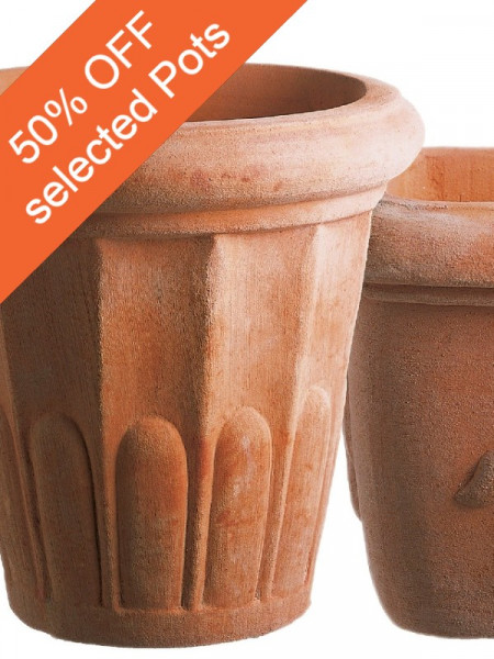 Pots Offer